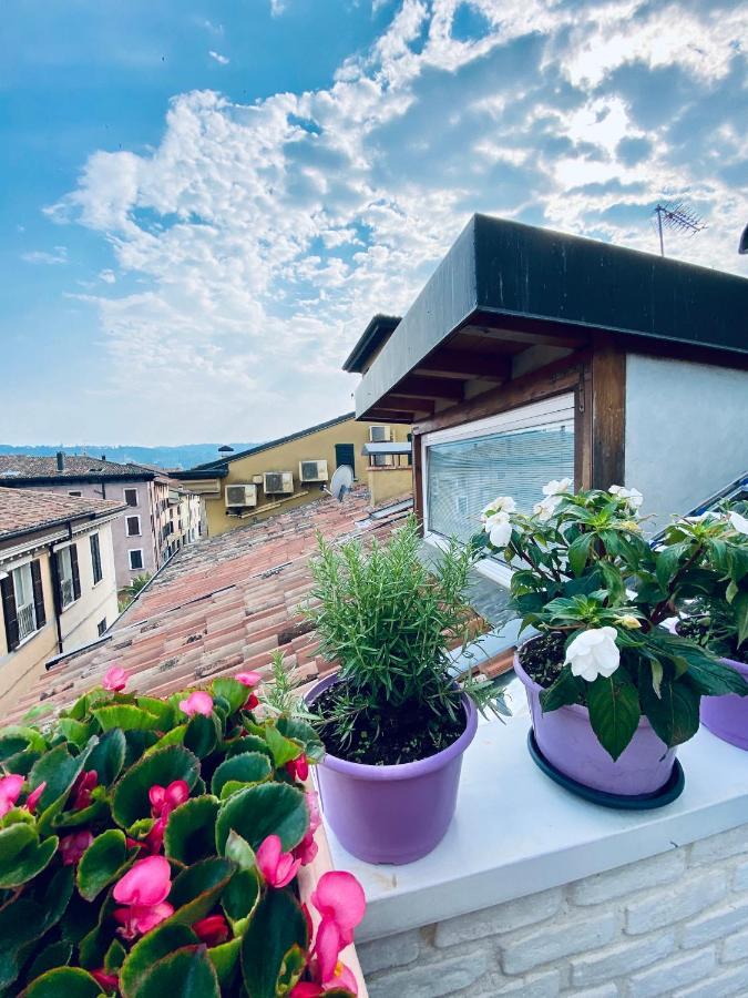 Apartment La Casa Di Angelina